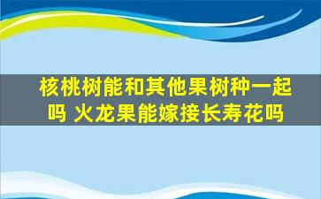 核桃树能和其他果树种一起吗 火龙果能嫁接长寿花吗